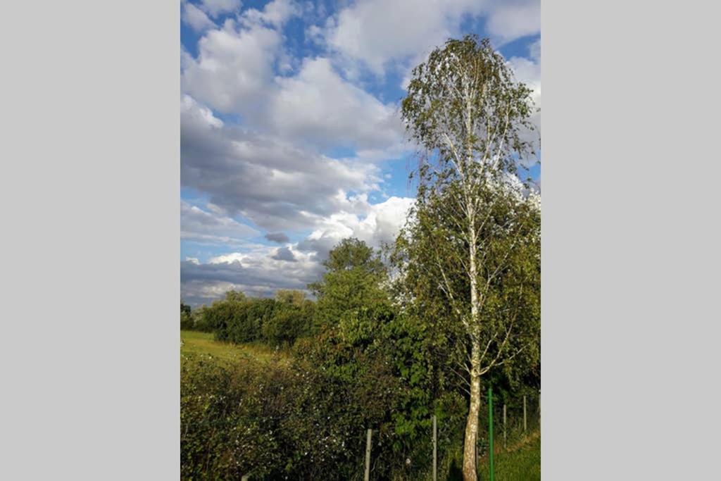 Entspannen Im Dorf Am See Zahren 外观 照片