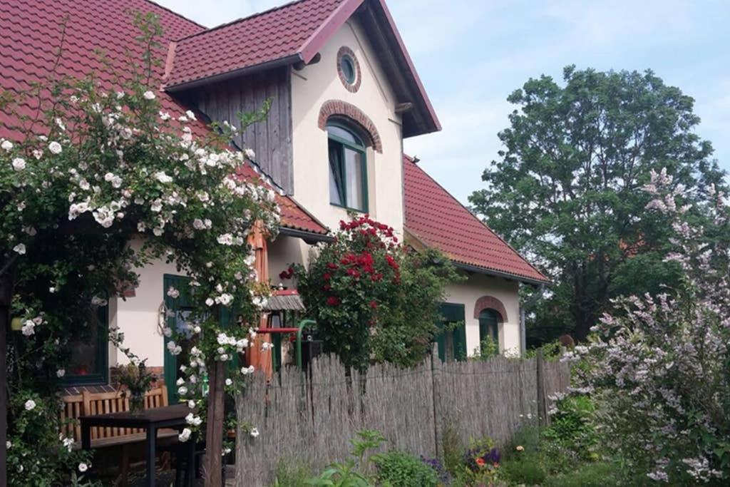 Entspannen Im Dorf Am See Zahren 外观 照片